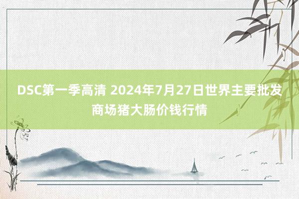 DSC第一季高清 2024年7月27日世界主要批发商场猪大肠价钱行情