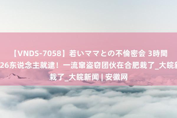 【VNDS-7058】若いママとの不倫密会 3時間 专偷电缆，26东说念主就逮！一流窜盗窃团伙在合肥栽了_大皖新闻 | 安徽网