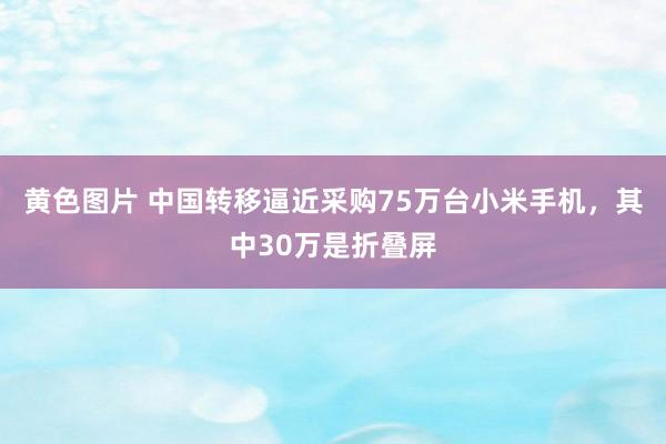 黄色图片 中国转移逼近采购75万台小米手机，其中30万是折叠屏