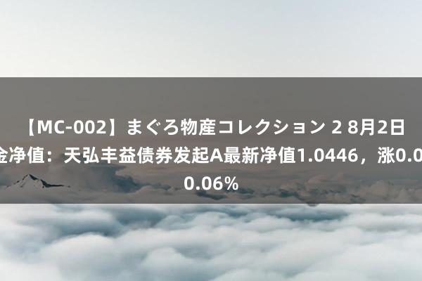 【MC-002】まぐろ物産コレクション 2 8月2日基金净值：天弘丰益债券发起A最新净值1.0446，涨0.06%