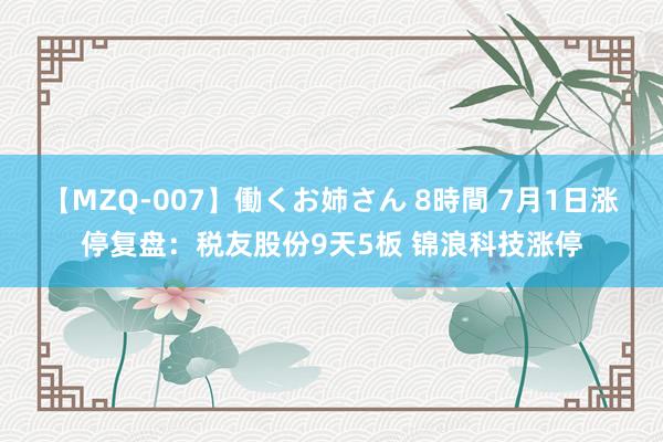 【MZQ-007】働くお姉さん 8時間 7月1日涨停复盘：税友股份9天5板 锦浪科技涨停