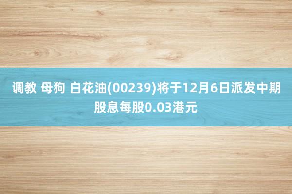 调教 母狗 白花油(00239)将于12月6日派发中期股息每股0.03港元