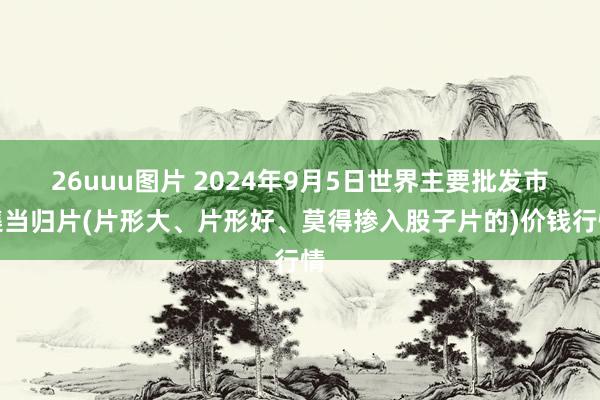 26uuu图片 2024年9月5日世界主要批发市集当归片(片形大、片形好、莫得掺入股子片的)价钱行情