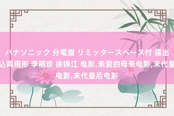 パナソニック 分電盤 リミッタースペース付 露出・半埋込両用形 李丽珍 徐锦江 电影，亲爱的母亲电影，末代皇后电影