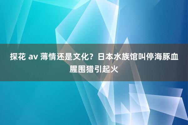 探花 av 薄情还是文化？日本水族馆叫停海豚血腥围猎引起火